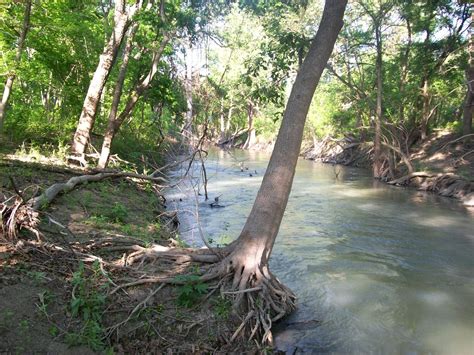 Medinariver30 Medina River Natural Area Bexar County Tex Flickr