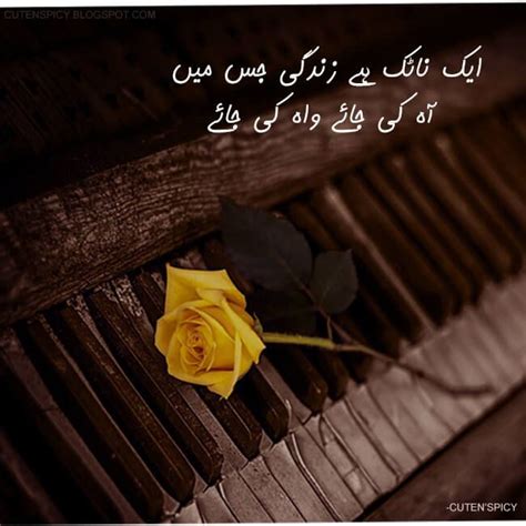 The 50 Best Life Status In Urdu For Whatsapp Urdu Life Quotes