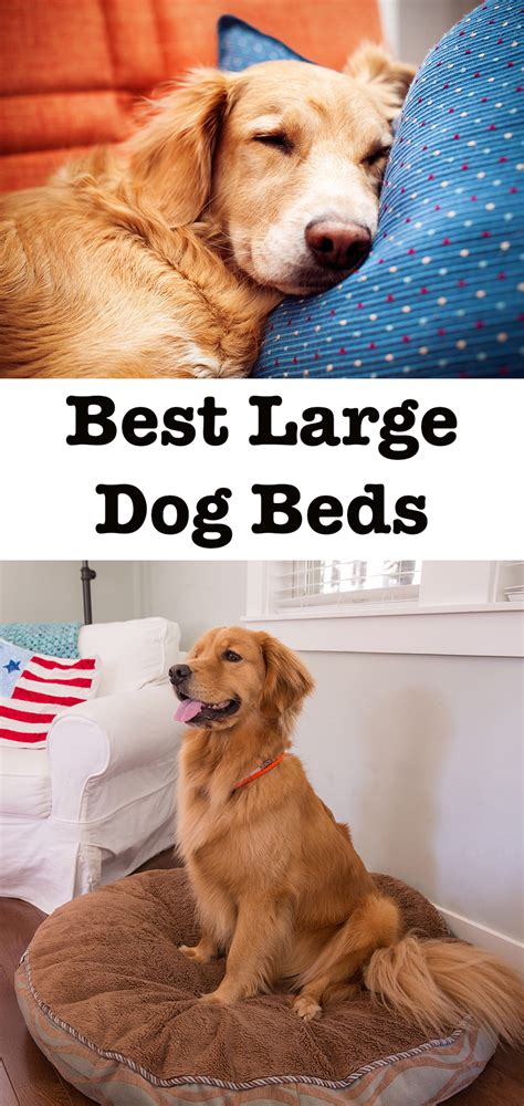 We did not find results for: The Best Large Dog Beds For Big Breeds Or Doggy Families