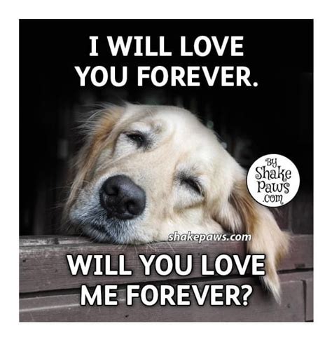 Pin By Happy Angel On Pets Love Me Forever Pets Love You Forever