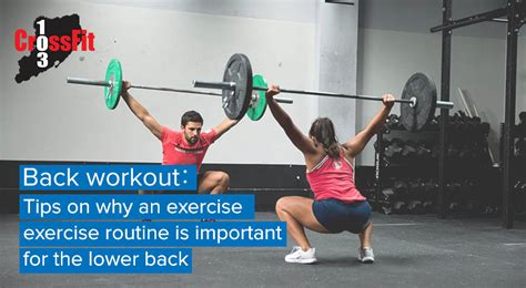 Back Workout : Tips On Why An Exercise Routine Is Important For The