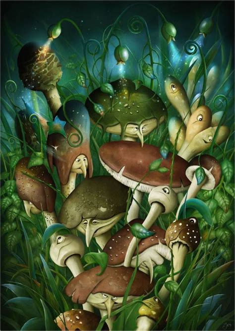 Magic Mushrooms Gallery Ebaums World