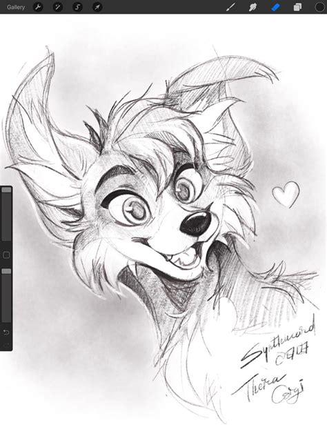 Drawing Furry Sketches Sketch Drawing Idea