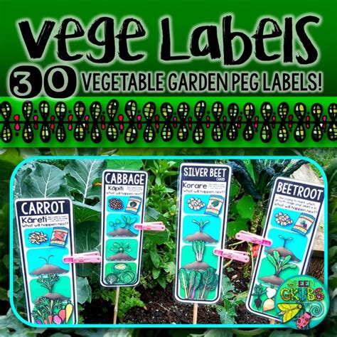 Vegetable Garden Labels Track The Growth Of Your Plants