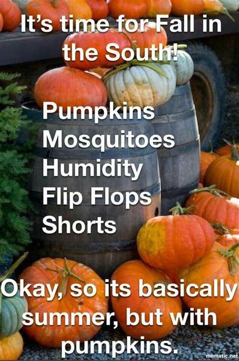Pin By Peggy Mcchriston On Florida Humor Fall Humor Pumpkin Fall Memes