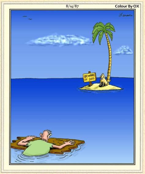 Pin By Cacomeau On The Far Side 1 Far Side Cartoons The Far Side