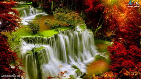 Nature Wallpapers Best Images Hd Download Poto Butut