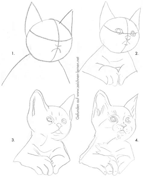 Katze Zeichnen Lernen Einfach Information Online