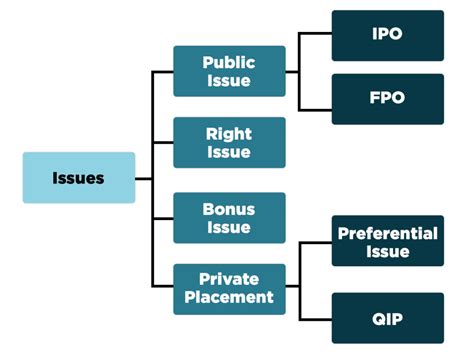 What Is The Difference Between Public Issue And Private Placement