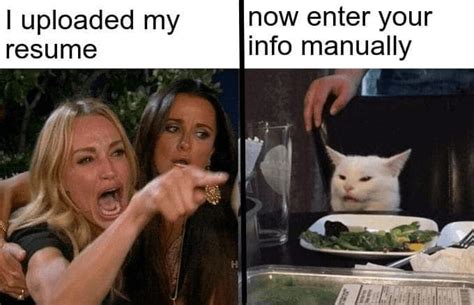 19 Resume Memes That You Can Relate To