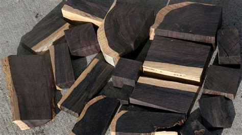 African Blackwood Is The World Most Expensive Wood Know The Price