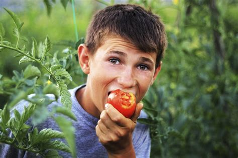 And you might be amazed at just how many vegetables can be replanted! Reasons Tomatoes Taste Bitter: Information On Sour Or ...