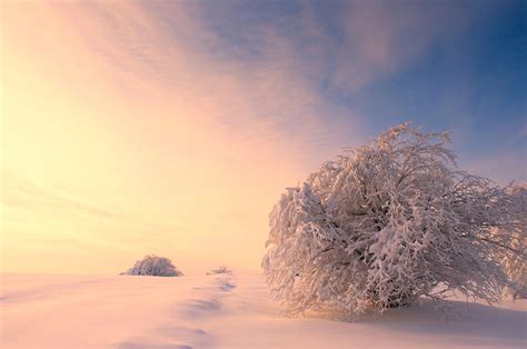 Winter Warmth Photograph By Catalin Petre Stan Fine Art America