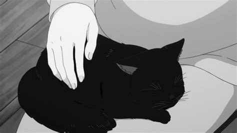 Studioimagin Black Cat Anime Anime Fight Black Cat Art