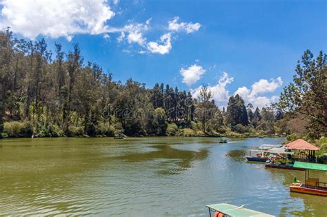Vista Amplia Del Lago Con Los Barcos Trenza Hermosa En El Fondo Ooty