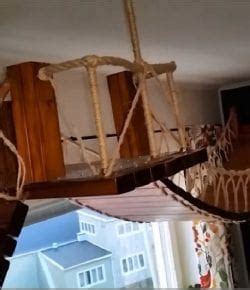 Whiskers the secluded lounge area he deserves by installing the cat bridge in your home. DIY Cat Rope Bridge | Your Projects@OBN