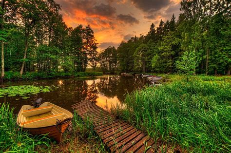 Natura Landscape Scenery View Forest Grass Lake Water Reflection Sky