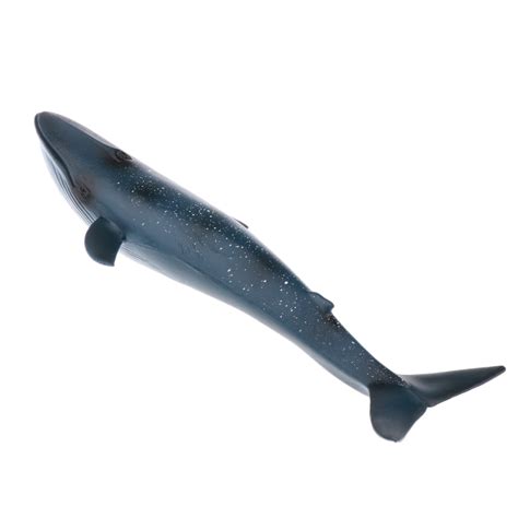 Blue Whale Sealife Toy Model Animal Figure 22cm Solid Plastic