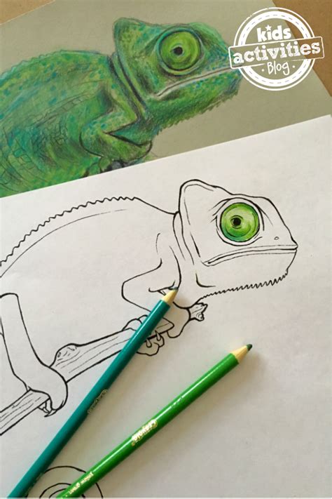 Subtraction color by number and worksheet for kids. Chameleon Coloring Pages for Kids