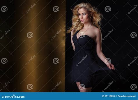 Elegant Blonde Woman Stock Image Image Of Beautiful