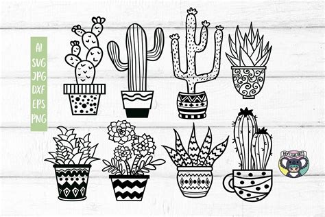 Cactus Clipart Succulents Svg Home Svg Silhouette Cricut Svg Bundle 12