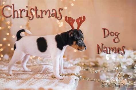 Christmas Puppy Names Small Dog Place Ruffeodrive