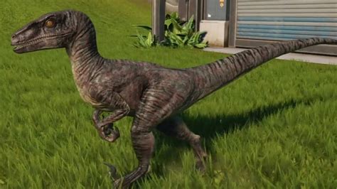 Jurassic World Evolution Velociraptor Vivid Skin Gameplay Ps4 Hd 1080p60fps Youtube