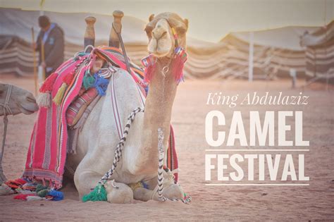 Home > region > saudi arabia. The Camel Festival in Riyadh, Saudi Arabia
