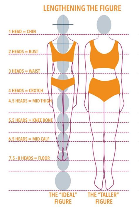 Learn More About Your Body Proportions Body Proportions Body Sewing Measurements