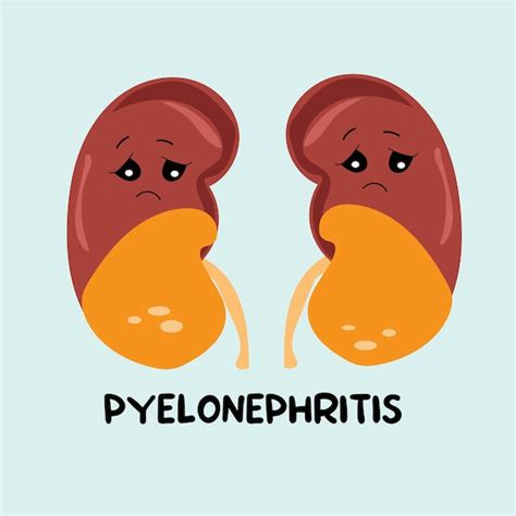 Premium Vector Pyelonephritis Kidney Vector Illustration Kidney Disease