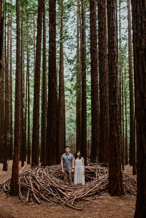 Rachael And Joseph Redwood Forest Melbourne Wedding Anniversary Redwood