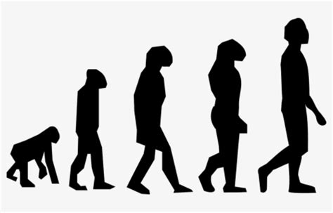 Human Evolution Vector Free Transparent Clipart Clipartkey