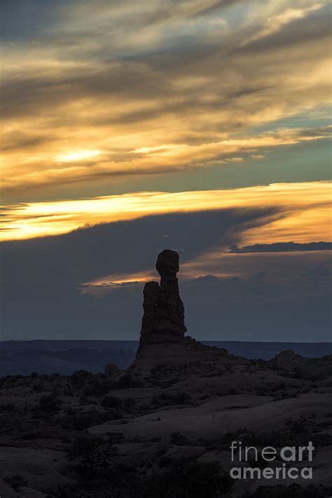 Standing Tall Photograph By Sandra Bronstein Fine Art America