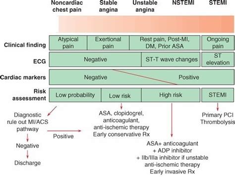 Whereas nstemi and stemi do. stemi vs nstemi - Bing images | Nursing school tips, Stemi ...