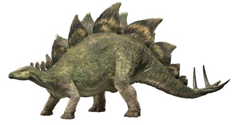 Jurassic World Fallen Kingdom Stegosaurus V4 By Sonichedgehog2
