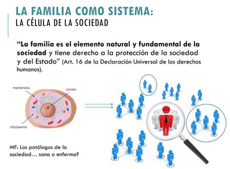 Residente Médico Familiar 4 Teoría General De Sistemas Aplicada A La