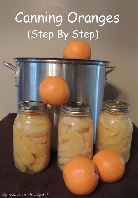 Did You Know You Can Preserve Oranges By Water Bath Method You Can