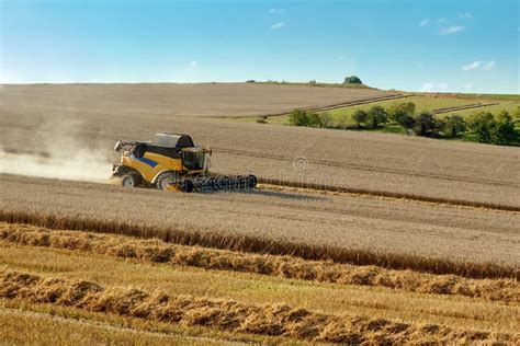 Yellow Harvester Combine On Field Harvesting Gold Wheat Stock Photo