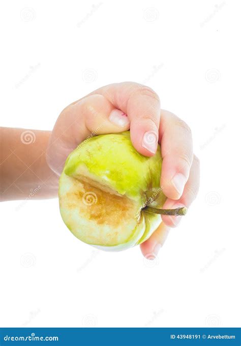 Les Petits Childs Remettent Tenir Une Pomme Verte Non Mûre Image Stock