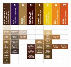 Free 8 Sample Hair Color Chart Templates In Pdf