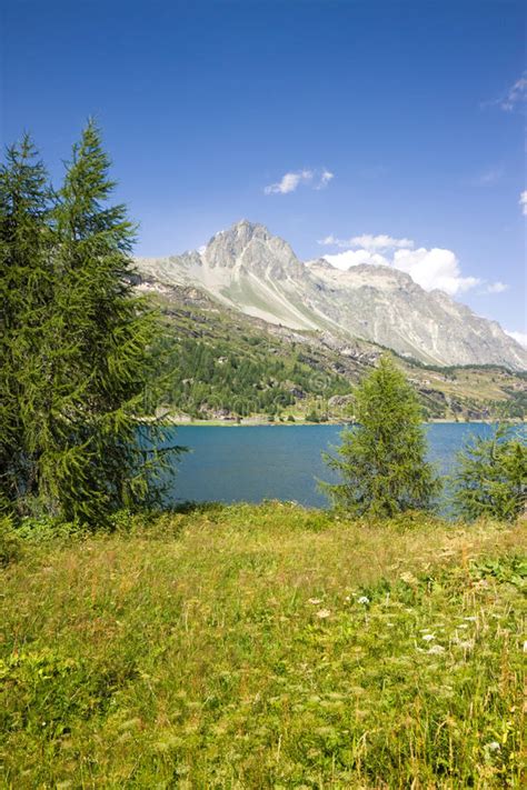Landscape Around Sils Lake On Upper Engadine Valley With Footpath And