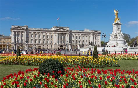 Buckingham Palace Vocaleyes
