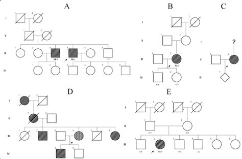 Pedigrees Of Patients With Mutation In The 3 Box Motif Of The Back