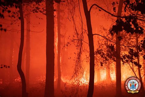 Did you know that it was once a ccc (civilian conservation corps) camp? Bass River State Forest fire fully contained at 617 acres ...