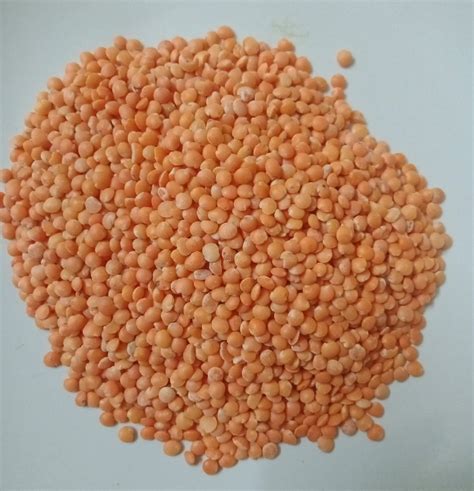 Red Small Masoor Dal High In Protein Packaging Size 50 Kg At Rs 95