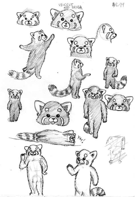 Red Pandas 13 Poses By Mrbumblepants On Deviantart