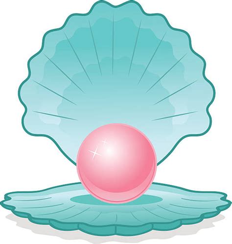 Royalty Free Pearl Oyster Clip Art Vector Images And Illustrations Istock