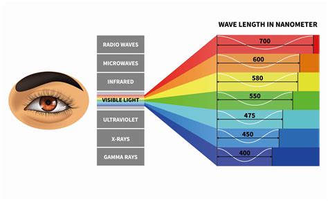 Your Important Course For Eye Protection Visible Light Spectrum