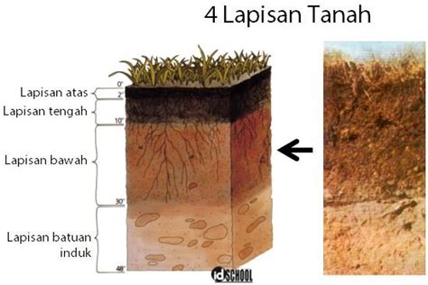 Struktur Lapisan Tanah