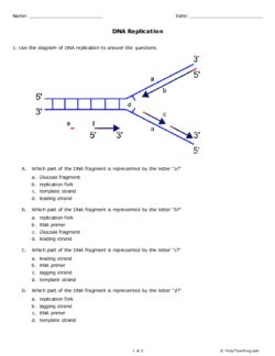 Doc student exploration building dna anthony presil. DNA Replication (Grades 11-12) - Free Printable Tests and ...